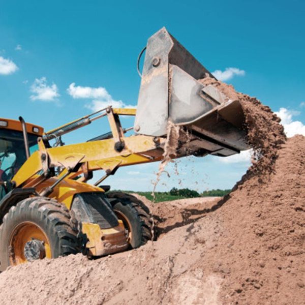 Portfolio6 1 600x600